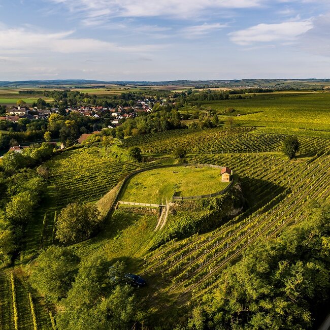 Grüner Veltliner Ried Schlossberg 1 ÖTW BIO 2023 0,75 l