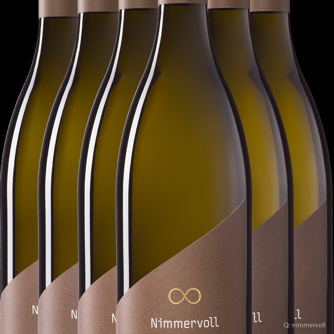 Grüner Veltliner Ried Schafflerberg 2025 0,75 l