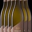 Grüner Veltliner Ried Schafflerberg 2025 0,75 l
