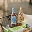 Richard's Sun Iced Tea Set „Die Fruchtigen Fünf“ 5 x 0,33 l *