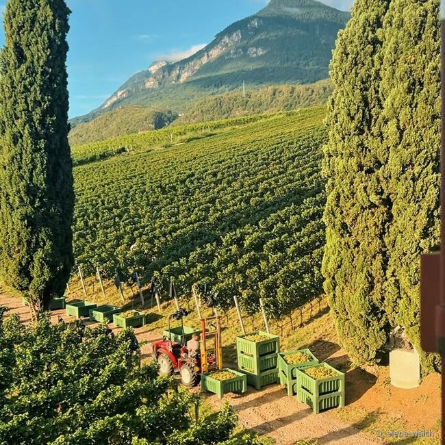 Lagrein Riserva Vigna Castel Ringberg DOC 2022 0.75 l