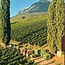 Lagrein Riserva Vigna Castel Ringberg DOC 2022 0.75 l