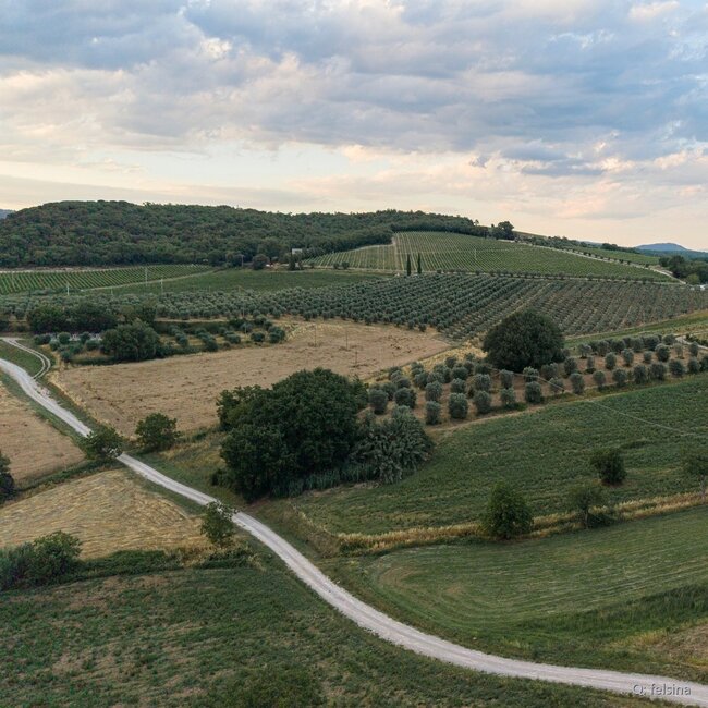 Chianti Classico Berardenga DOCG 2022 0,75 l