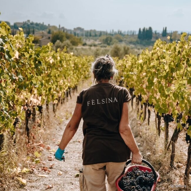 Chianti Classico Berardenga DOCG 2022 0,75 l