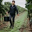 Chardonnay Selection 2025 0,75 l