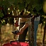 Villa Antinori Rosso Toscana IGT 2023 0,75 l