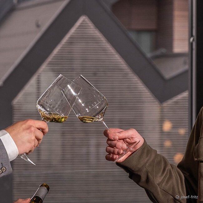 Roter Veltliner Wagram Terrassen 2025 0,75 l