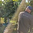 Grüner Veltliner Buchegger HG (ehem. Holzgasse) 2025 0,75 l