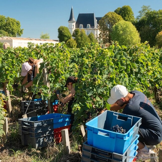 Château Pichon Baron 2ème Grand Cru Classé 2021 0,75 l