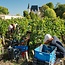 Château Pichon Baron 2ème Grand Cru Classé 2021 0,75 l