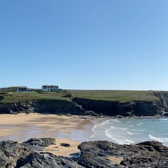 Tarquin's Cornish Dry Gin 0,7 l 42 % vol
