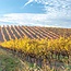 Rioja Crianza Set 6 x 0,75 l