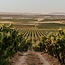 Rioja Crianza Set 6 x 0,75 l
