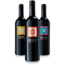 Gager Tasting Set 3 x 0,75 l