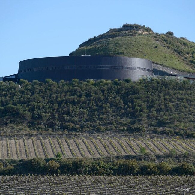 Viña Real Crianza Rioja DOCa 2022 0,75 l