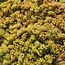 Chardonnay Tatschler 2023 0,75 l