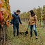 Chardonnay Selection 2025 0,75 l