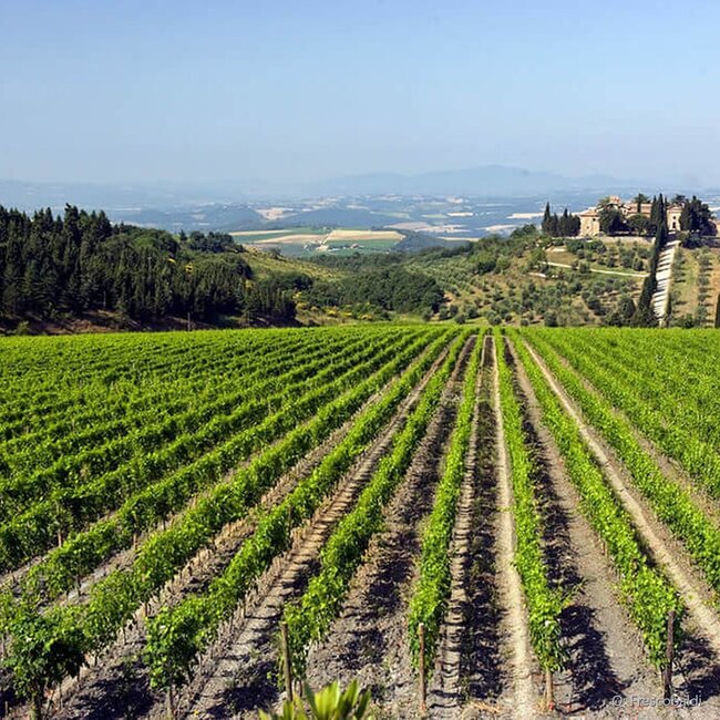 CastelGiocondo Brunello di Montalcino DOCG 2021 0,75 l