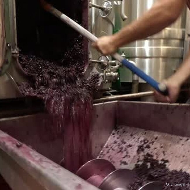E. Guigal Côtes du Rhône Rouge AC 2023 0,75 l