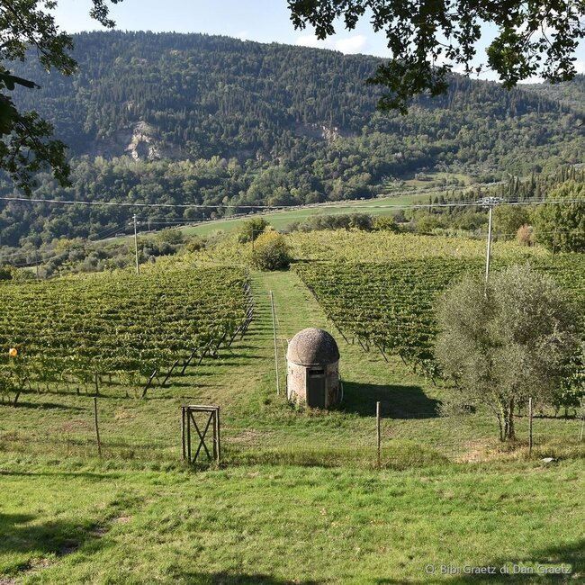 Testamatta Toscana IGP 2018 0,75 l