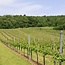 Chardonnay Leithaberg DAC 2024 0,75 l