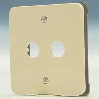 PEHA Centraalplaat BNC/TNC Creme D (80.677-SS W)