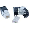 PEHA keystone CAT6 schwarz (1951.19 RJ45 C6)