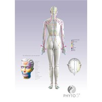 Poster Meridianen Rug