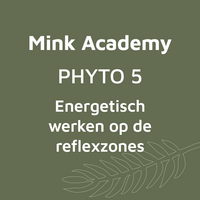 Energetisch werken op de reflexzones - Basis 2 