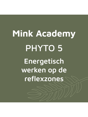 PHYTO 5 Energetisch werken op de reflexzones - Basis 2 