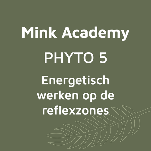 PHYTO 5 Energetisch werken op de reflexzones - Basis 2 