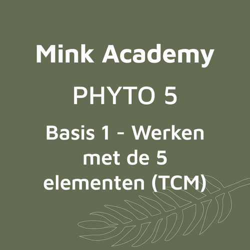 PHYTO 5 Basis 1 - werken met de 5 elementen (TCM) 