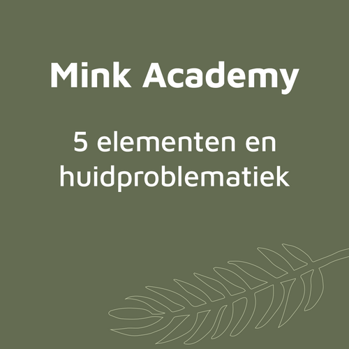 PHYTO 5 Training Vijf Elementen en Huidproblematiek