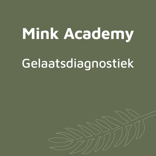 MinkBC Masterclass Gelaatsdiagnostiek