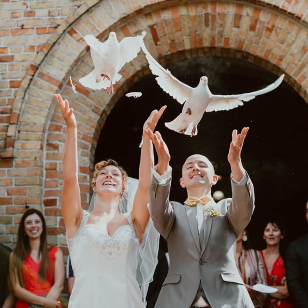 Verhuur - Witte duiven in bruidsmand