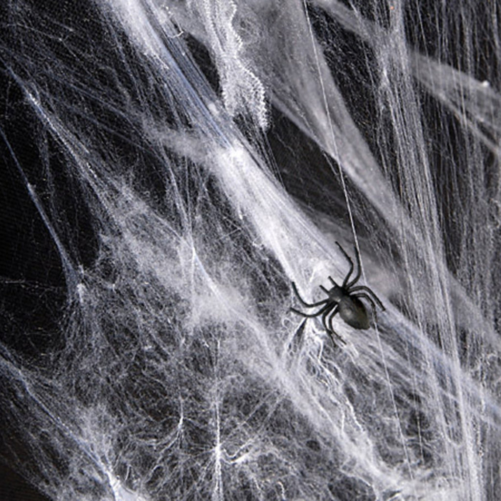 Partydeco Halloween - Spinnenweb (60gr)