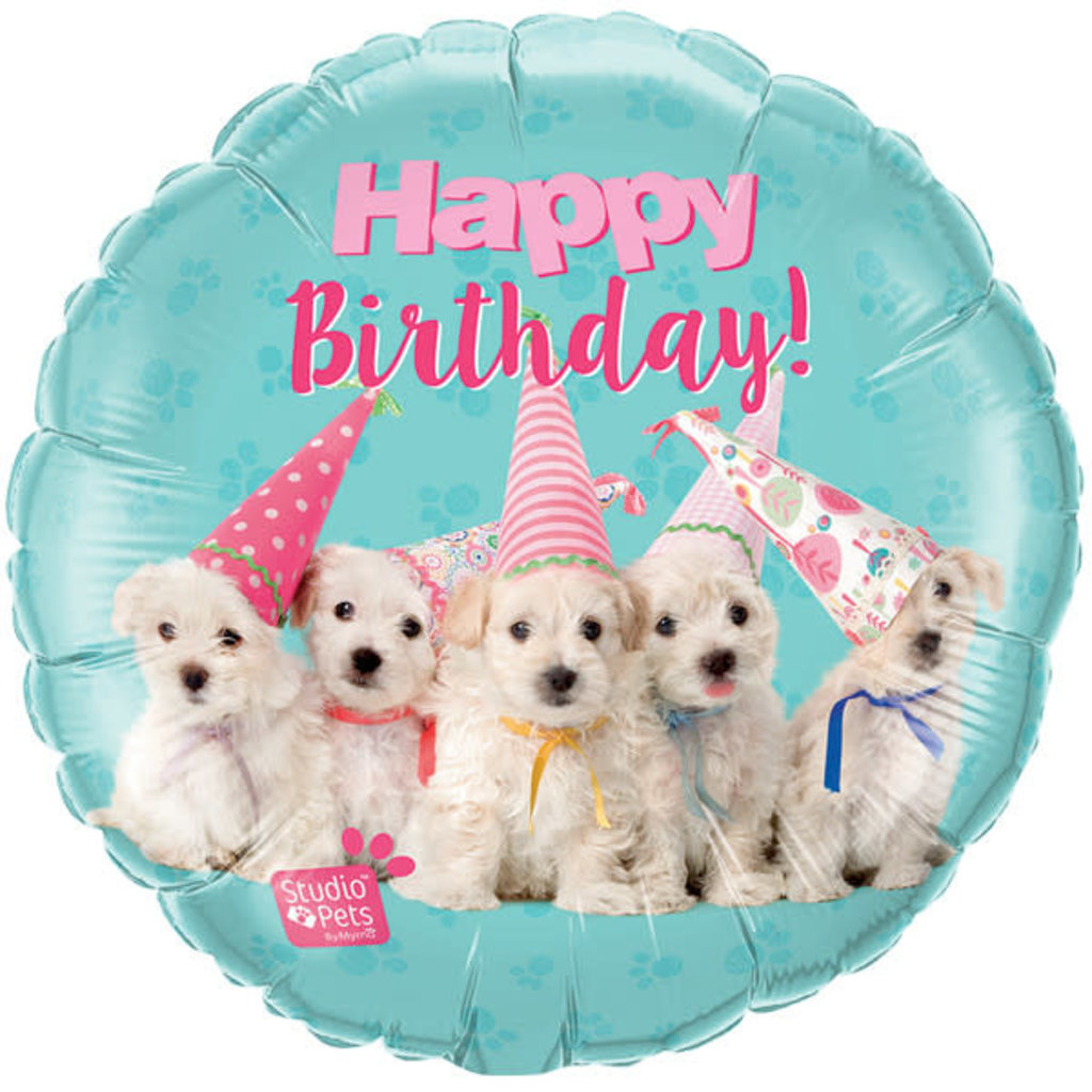 Qualatex Happy birthday Puppies - Folieballon (45cm)