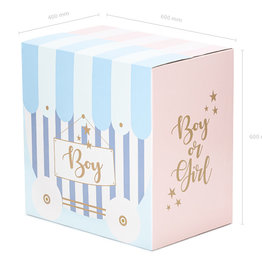 Partydeco Gender Reveal Balloon - Box