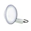 Astralpool Astralpool Vervanglamp Lumiplus Wit (24 V Dc) 4320 Lm + Trafo 32w