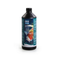 Melkzuurbacteriën 1L - AquaForte