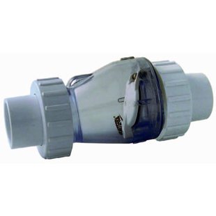 Transparante Terugslagklep - 3/3 - 63mm - Zonder Veer - Valterra
