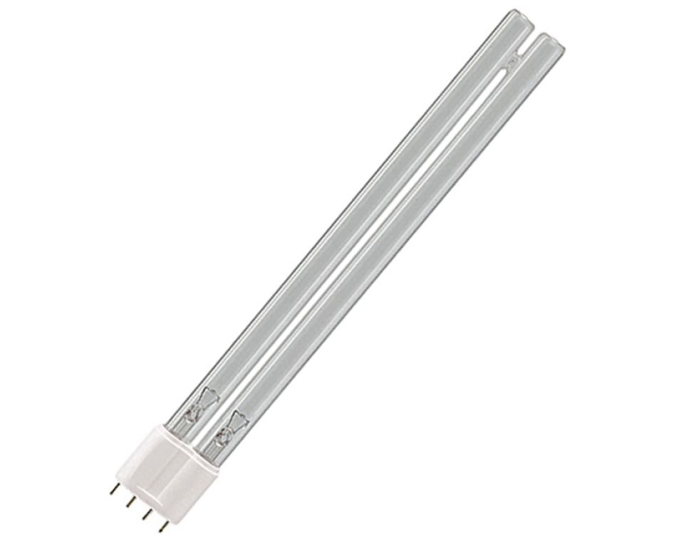 Philips Pl-Lamp 55 Watt Philips met 4 pennetjes afbeelding