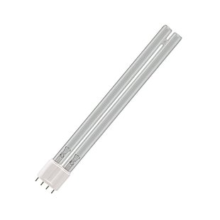 Pl-Lamp 60 Watt Philips met 4 pennetjes - Philips