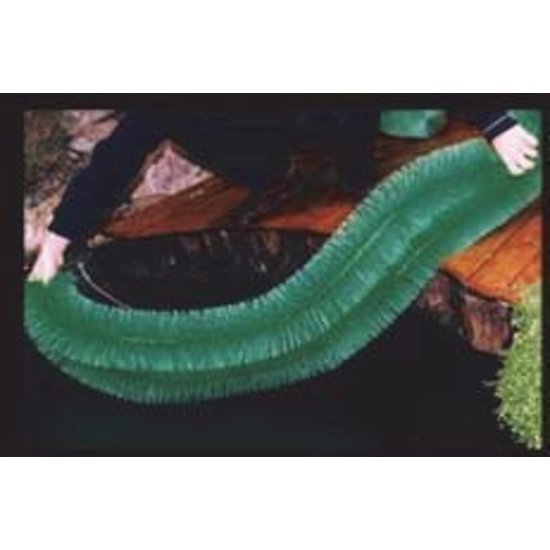 AquaForte Best Brush eierafzetborstel 100 x 15cm - AquaForte