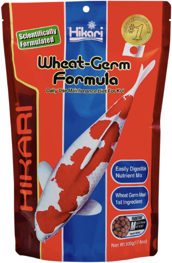 Hikari Wheat Germ Medium 500g - Hikari