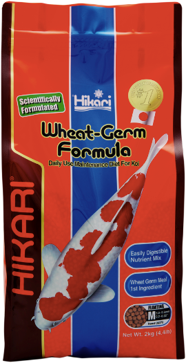 Hikari Wheat Germ Medium 2kg - Hikari
