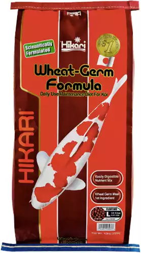 Hikari Wheat Germ Large 10kg - Hikari