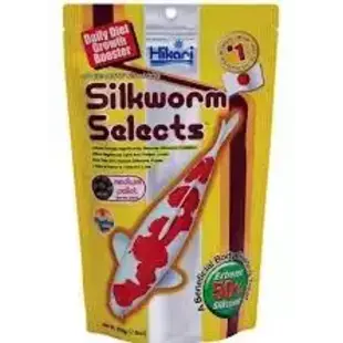 Silkworm 500 gr - Hikari