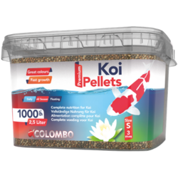 Koi Mini 2,5L - Colombo