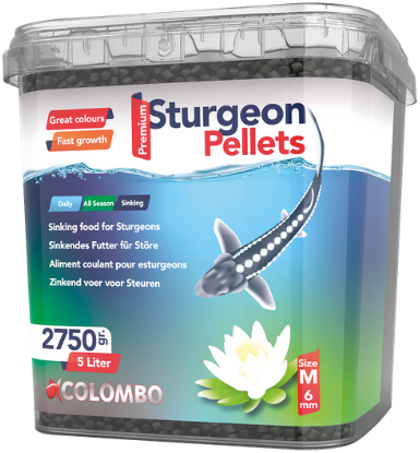 Colombo Steur large 5 liter - Colombo afbeelding